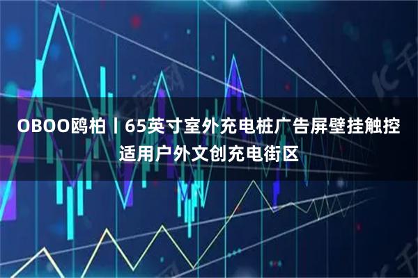 OBOO鸥柏丨65英寸室外充电桩广告屏壁挂触控适用户外文创充电街区